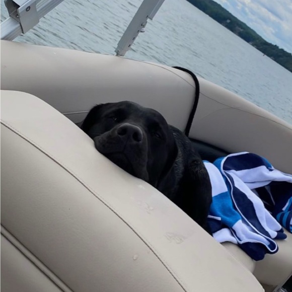 Meet your Posher, Cole - Picture 1 of 1